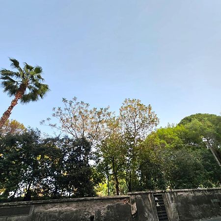 May'S Apartment คาตาเนีย ภายนอก รูปภาพ